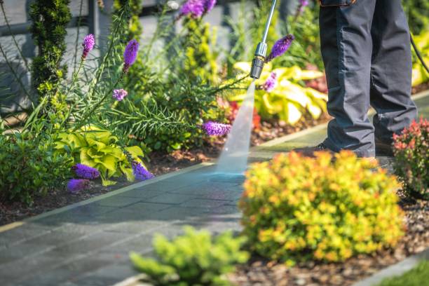 Best Dumpster Area Cleaning  in Lifornia City, CA